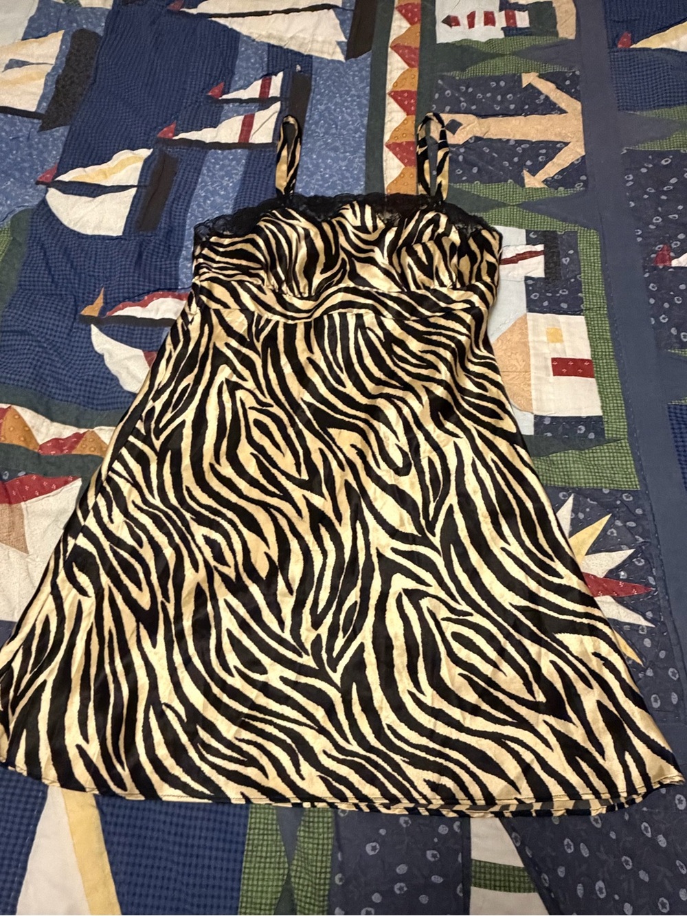 Cinema Exoile Zebra Print Slip